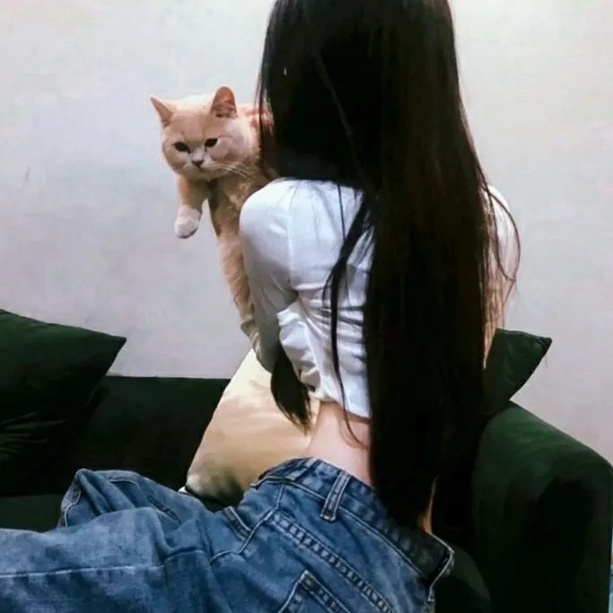 冰冷热带鱼 在线观看封面